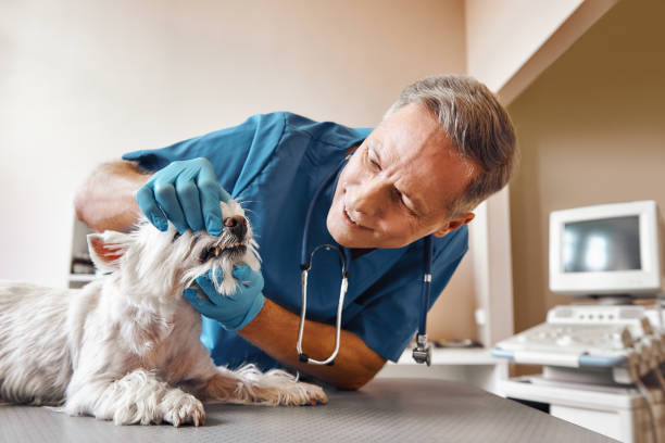 Dentist for Dental Trauma in OK